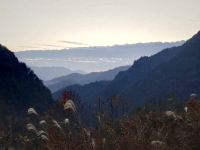 杭州云顶山园民宿 - 酒店景观