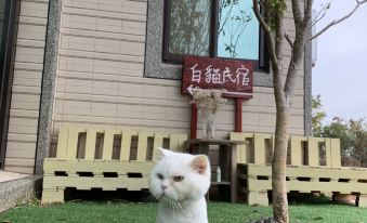 White Cat Homestay: Live Here Golden Gate