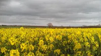 Brampton Dales Farm Hotels in Glentworth