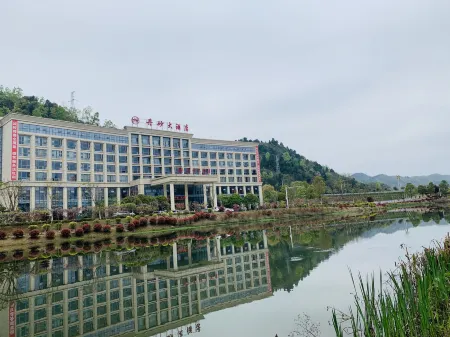 Dansha Hotel Отели в г. Вучуань