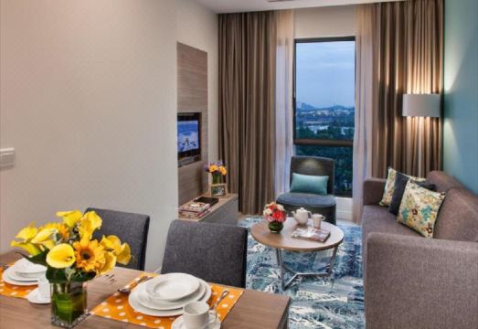 3. 시타딘 D펄즈 ..