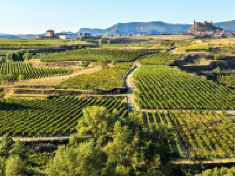 Wine & Soul Suites Hotéis em Haro