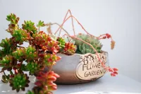 Huaniao Island Banshan Banhai Hostel Hotel a Huaniao Island