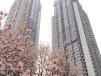 重庆艾米时光公寓 - 酒店景观