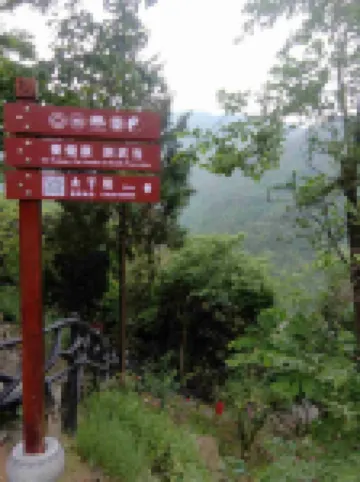 Wudangshan Taiziju Inn  호텔