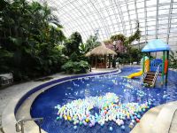 黄骅盛泰国际酒店 - 室内游泳池