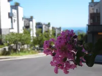 Jeju Healthcare Town Resort - 2-Star