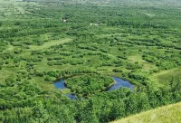 Erguna yurt tour Duoduo Inn