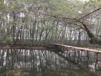 黄山清溪涵月乡绅别院 - 酒店附近