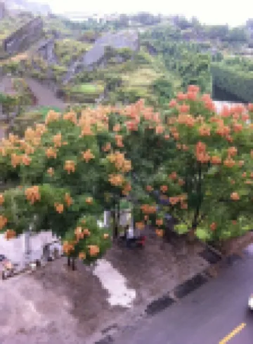 Chongqing Pearl Hostel