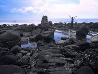 漳浦佳佳欣旅馆 - 酒店附近