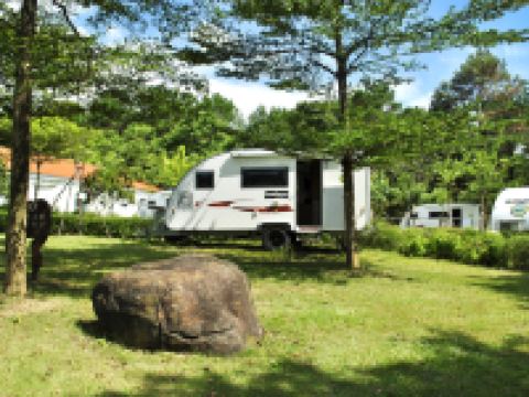 佛冈田野绿世界度假酒店 - 特色房车房