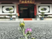 Ruting Yayuan Hotel Hotels in Wuyishan