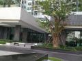 the-base-central-pattaya-juristic-personcondominium