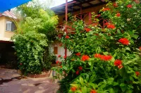 Kimberley Croc Motel Hotels in Kununurra