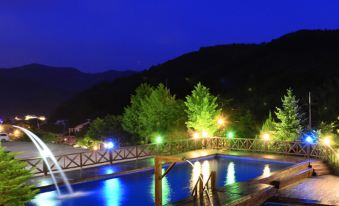 Noblestar Pension Gangchon