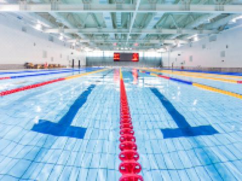 洛阳亚丁酒店 - 室内游泳池