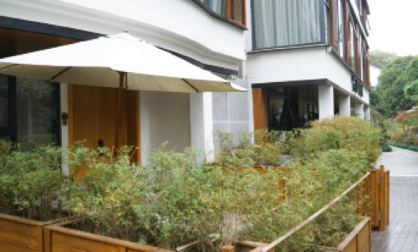 Qingshu Yinlin Hostel Hangzhou - Housity
