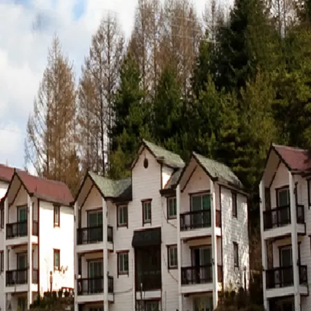 Pyeongchang Haedlmok Pension Отели рядом с достопримечательностью «Lee Hyo Seok Literature Forest»