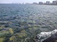烟台金沙海景公寓 - 酒店外部