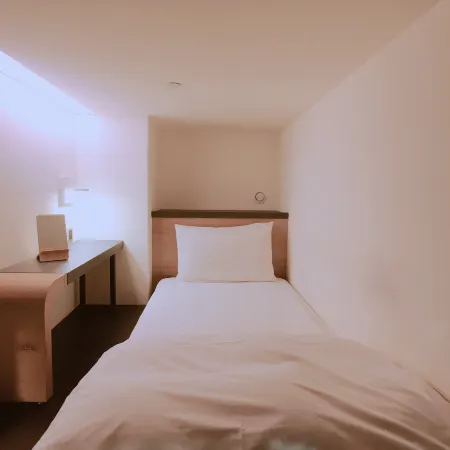 Taiwan Youth Hostel & Capsule Hotel Отели рядом с достопримечательностью «Станция метро Dapinglin»