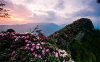 Celebrity vacation Hotel (Guangwushan Scenic Area) - con vistas a la montaña