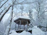 雪乡二浪河雅艺宾馆 - 酒店附近