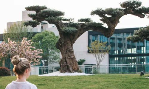 The Anandi Hotel and Spa Shanghai