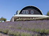 Lavender Hill