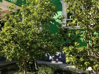 布尔津八零别苑 - 酒店外部