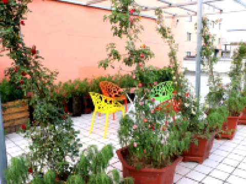 Xinyang Jinguan Express Hotel Hotels near Xinyang Station