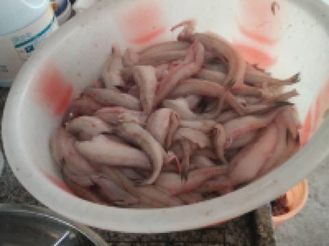 象山石浦富红客栈 - 其他