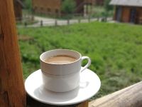 禾木锦禾木歌度假山庄 - 花园