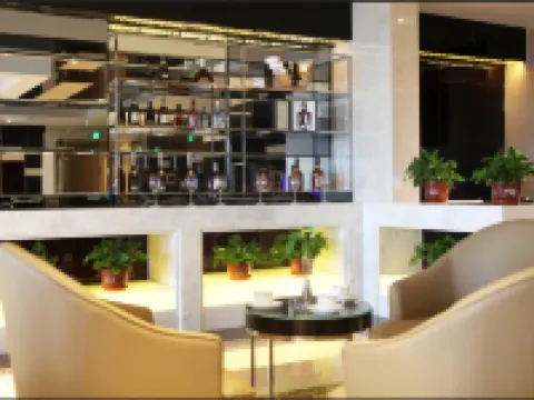 陽原國際大酒店 陽原酒店
