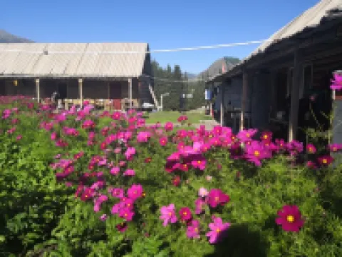 喀納斯湖濱山莊（老村店） 酒店