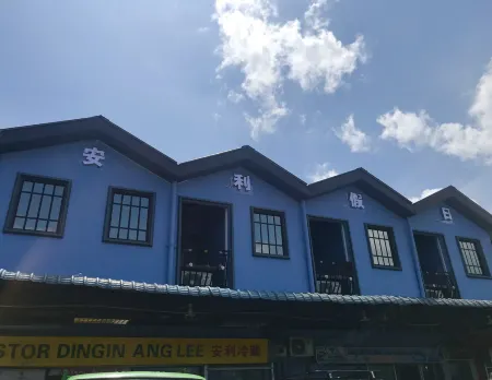 Ang Lee Holiday Stay