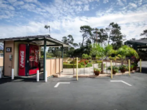 帕德雷橡樹酒店 蒙特雷酒店