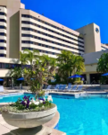 Hilton Orlando Lake Buena Vista - Disney Springs™ Area Hotels near Aerophile Characters in Flight