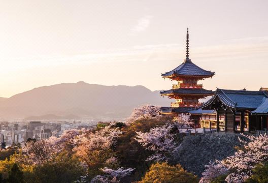 2. 플로럴 그린 메..