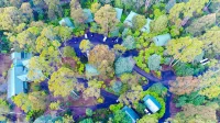 Lemonthyme Wilderness Retreat Hotels in 
