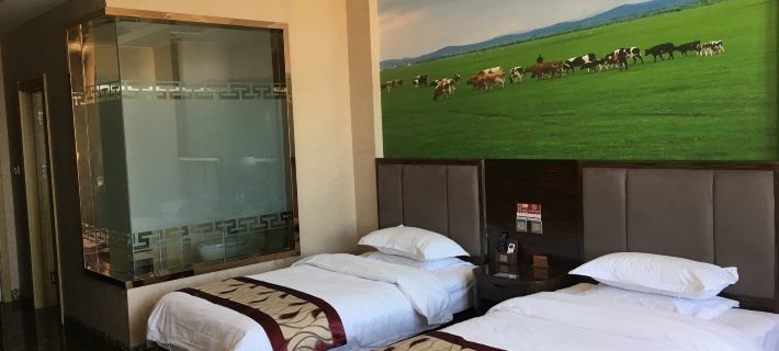 Moli International Hotel Hotels in Erenhot