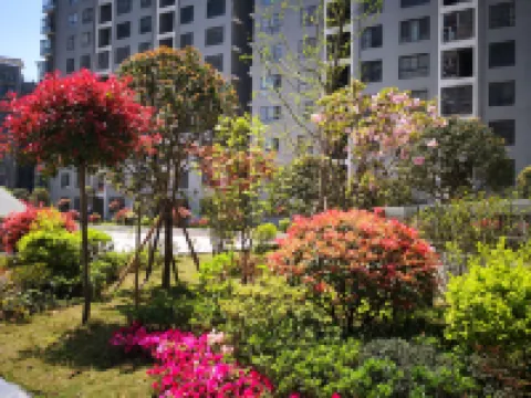 Bijie Jinpin Apartment Hotel