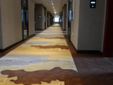 โรงแรมหลงถู โรงแรมในชานชาน