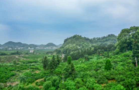 Towo Holiday Hotel (Yongxiu Xihai)