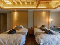 南京茶乡星谷酒店 - 高级双床房