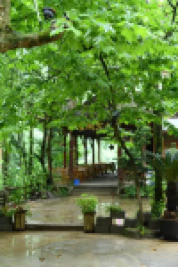 Qingshang Guesthouse Hotels near Double Springs