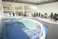 World Dinosaur Valley Hot Spring Hotel - Pools