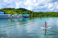Coron Underwater Garden Resort