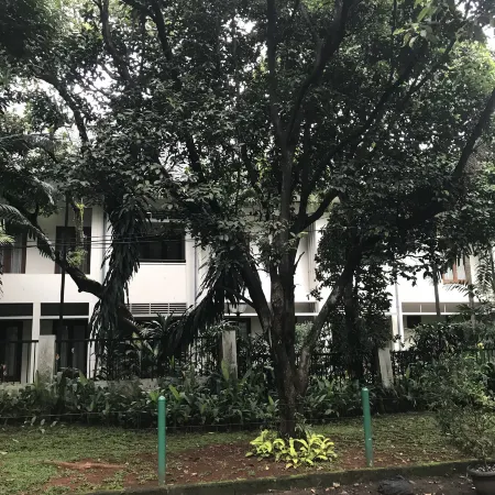 Whiz Hotel Falatehan Jakarta