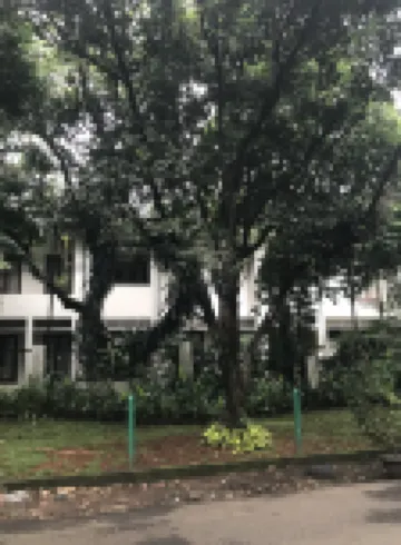 Whiz Hotel Falatehan Jakarta Các khách sạn gần Museum Polri